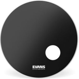 Evans BD20RONX