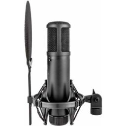 SE Electronics sE2200