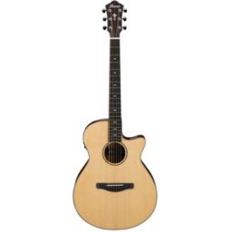 Ibanez AEG200-LGS
