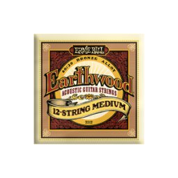 Ernie Ball 2012 Earthwood 80/20 Bronze 12-string 011-052