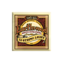 Ernie Ball 2010 Earthwood 80/20 Bronze 12-string 009-046