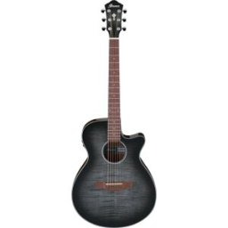 Ibanez AEG70-TCH