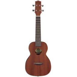 Ibanez UKC100