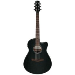 Ibanez AAM340CE-RUB