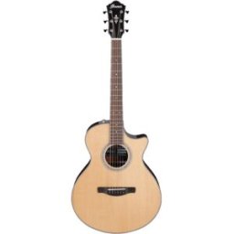 Ibanez AE300ZRJR-NT