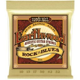 Ernie Ball 2008 Earthwood 80/20 010-052