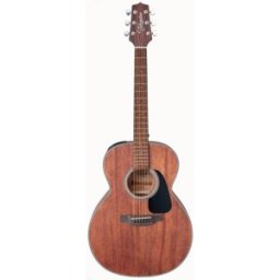 Takamine GLN11E - Natural Satin