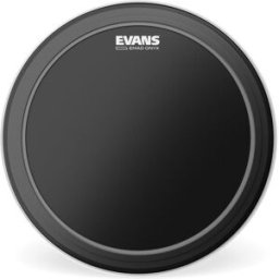 Evans BD22EMADONX