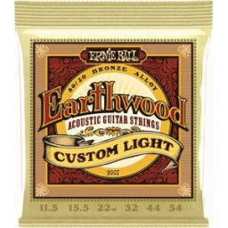 Ernie Ball 2007 Earthwood 80/20 0115-54