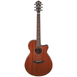 Ibanez AEG220-LGS