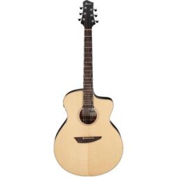 Ibanez PA300E-NSL