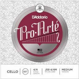 DAddario J59M