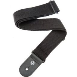 Planet Waves 50CT00