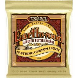 Ernie Ball 2013 Earthwood 80/20 010-056