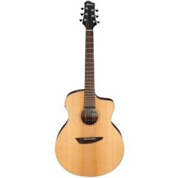 Ibanez PA230E-NSL