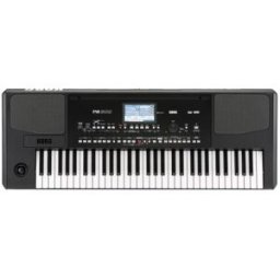 Korg PA300