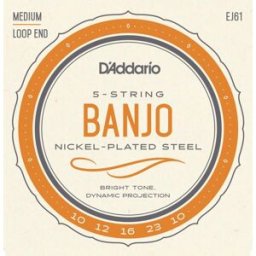 DAddario EJ61