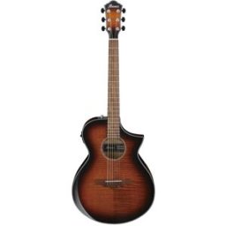 Ibanez AEWC400-AMS