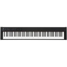 Korg D1