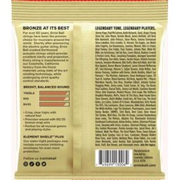 Ernie Ball 3006 Earthwood 80/20 Bronze 010-050 3-pack