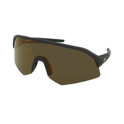 Sunglasses Alpina Sonic HR Q Black Matt/Gold Mirror