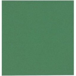 ABENA Servett 1-lags 33x33cm grön 250/fp