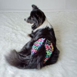 Ruttunuttu Tikskydd Rosa/blå Leopard S