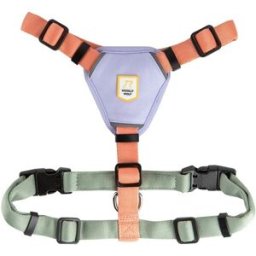 Woolly Wolf Color Block Hundsele Rosa/grön/lila XS