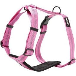 Basic First Y-Sele Valp Rosa