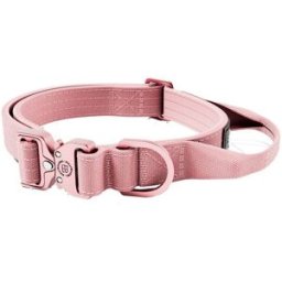 Bullybillows Combat Hundhalsband Med Handtag Rosa Xs 2,5 Cm