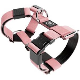 Bullybillows Tri Hundsele Rosa XXS