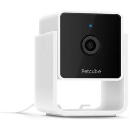 Petcube Cam Husdjurskamera Med Ljud