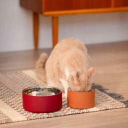 Basic Doublewall Hundskål Röd 1200 Ml