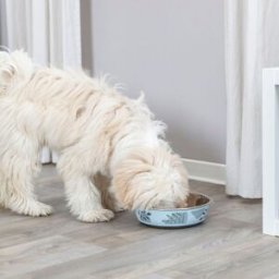 Trixie Hundmatskål Non-Slip Blå Med Blommor L