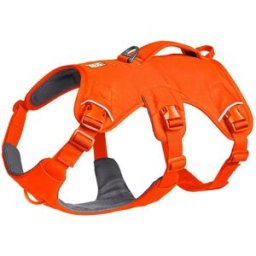 Ruffwear Web Master Hundsele Orange L/XL