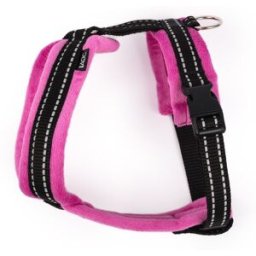Basic Cosy Y-Sele Rosa 55 cm