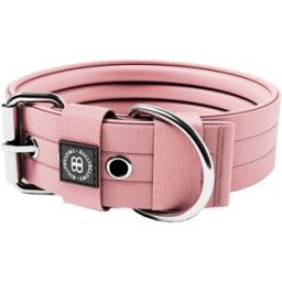 Bullybillows Hundhalsband Med Spänne 5 Cm Rosa M