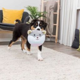 Trixie Junior Mjukisdjur Nalle 20 Cm