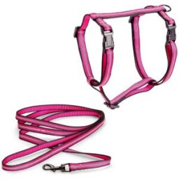 Basic Cat Reflective Kattsele & Koppel Rosa