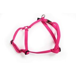 Basic Sweet Sele Xs Rosa
