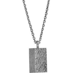 Lempikoru Force silverhalsband bricka 32 505 00 550