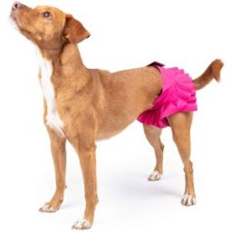 Finnero Ballerina Tikskydd Rosa L