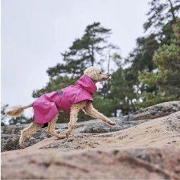 Hurtta Monsoon Ii Eco Regnjacka Rosa 65
