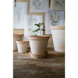 Bergs Potter Kruka Flora Rosa