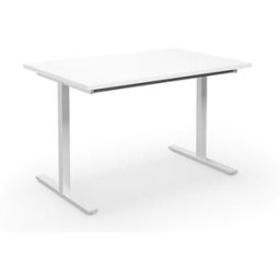 Bord DUO-T, rak skiva, LxB 1200x800 mm, vit/vit