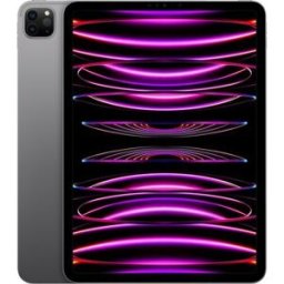 Apple iPad Pro (2022) 11.0" 16 GB 1 TB rymdgrå