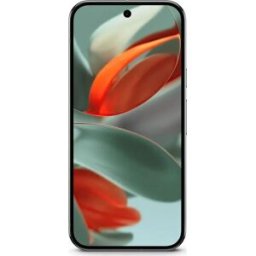 Google Pixel 9 Pro XL 256 GB Dual-SIM Hazel