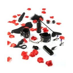 Toyjoy Amazing Pleasure Sex Toy Kit