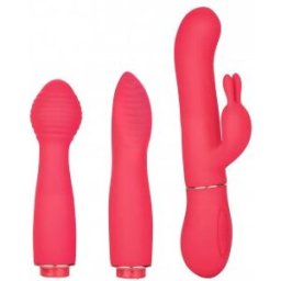 CalExotics In Touch Dynamic Trio