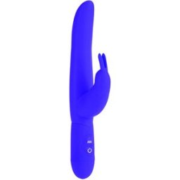 CalExotics Bounding Bunny
